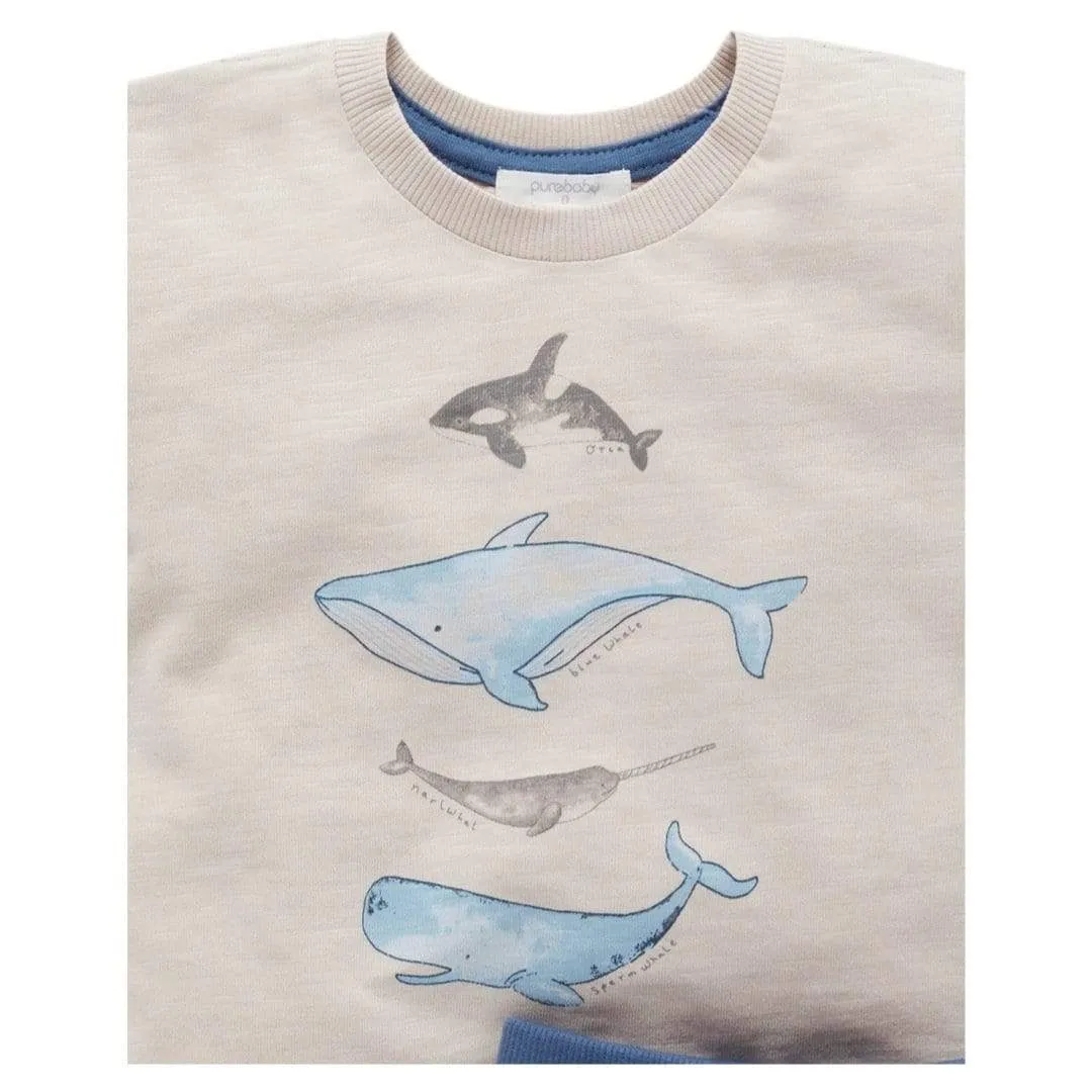 Whale Pod Set  - Deep Sea Stripe